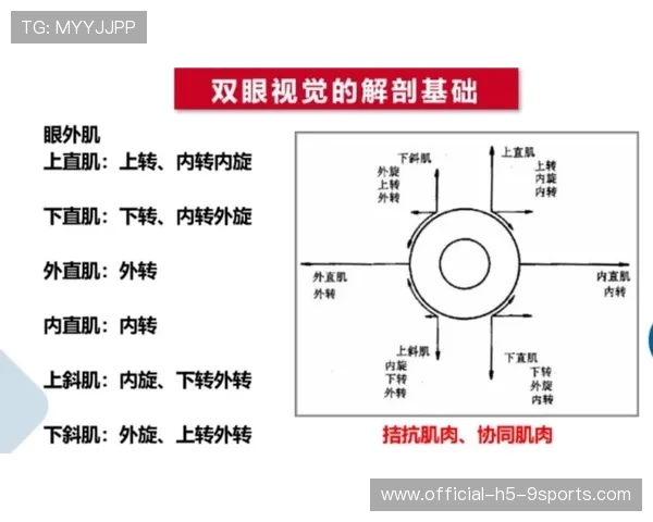 职业比赛中的关键眼位与视野压制技巧